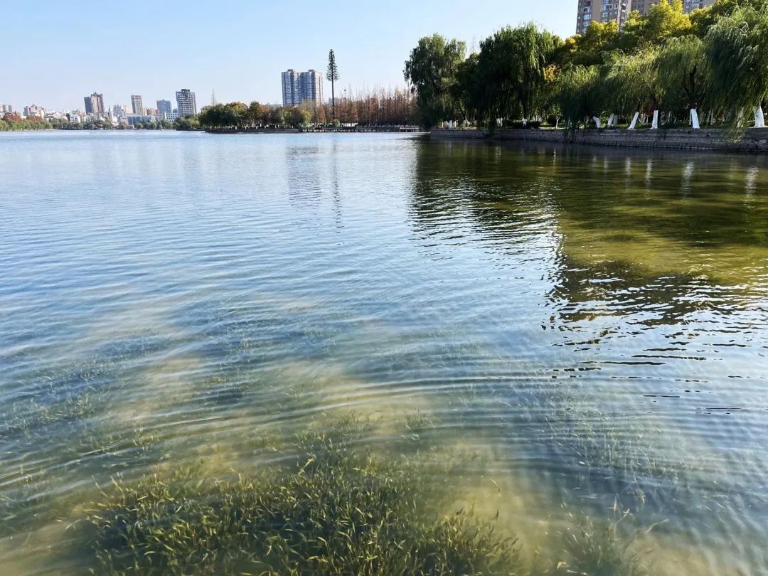 1win��(�й���)�ٷ���վ