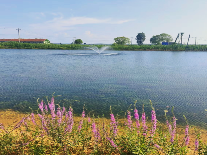 1win��(�й���)�ٷ���վ