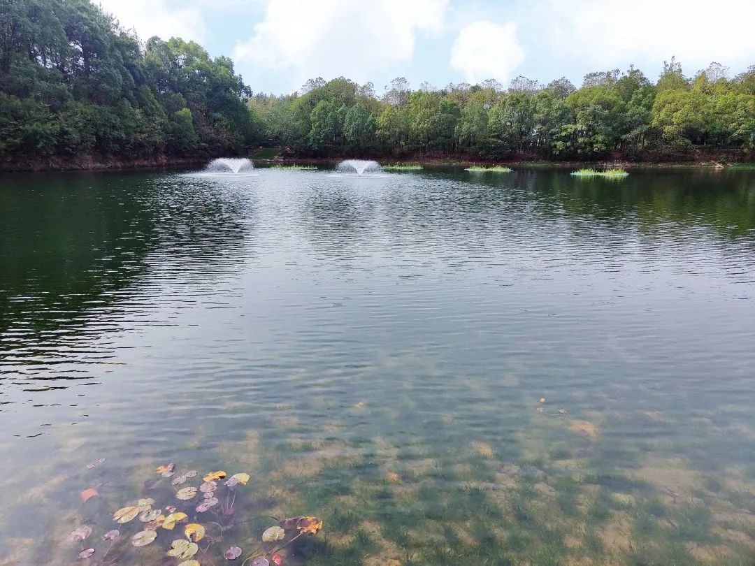 1win��(�й���)�ٷ���վ